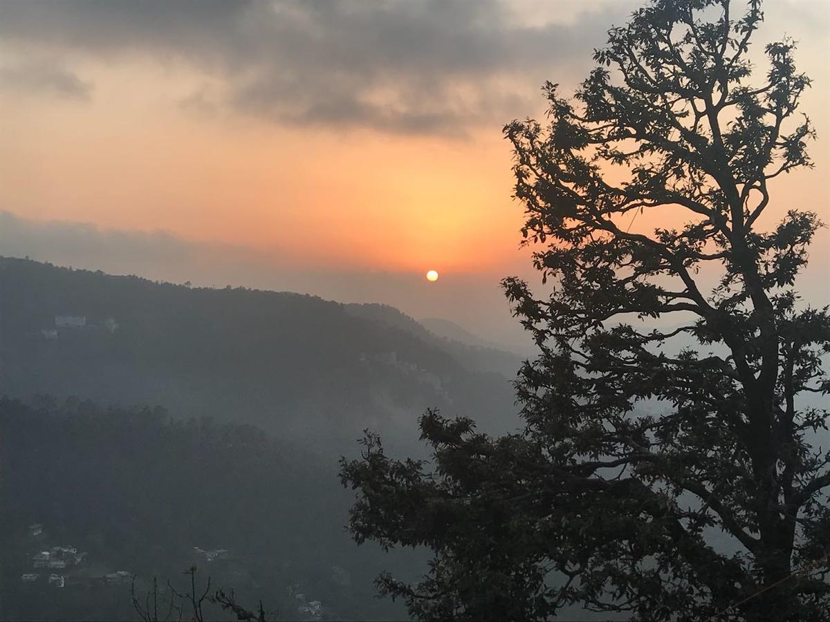 Apple House 2* Shimla