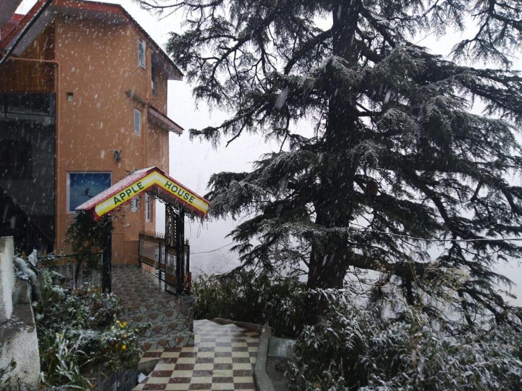 Apple House Shimla