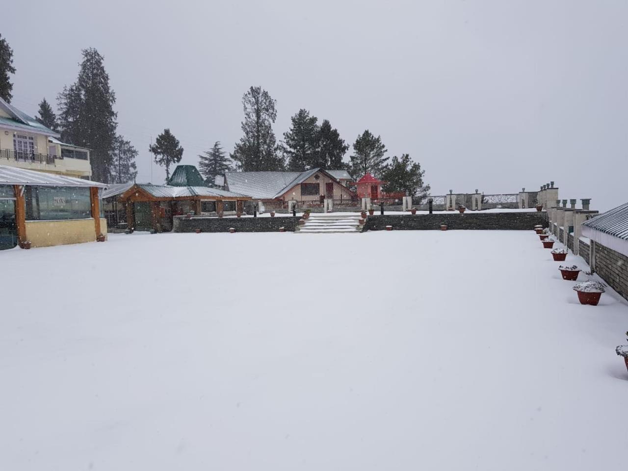 Royal Tulip Luxury Hotel, Kufri, 5* Shimla