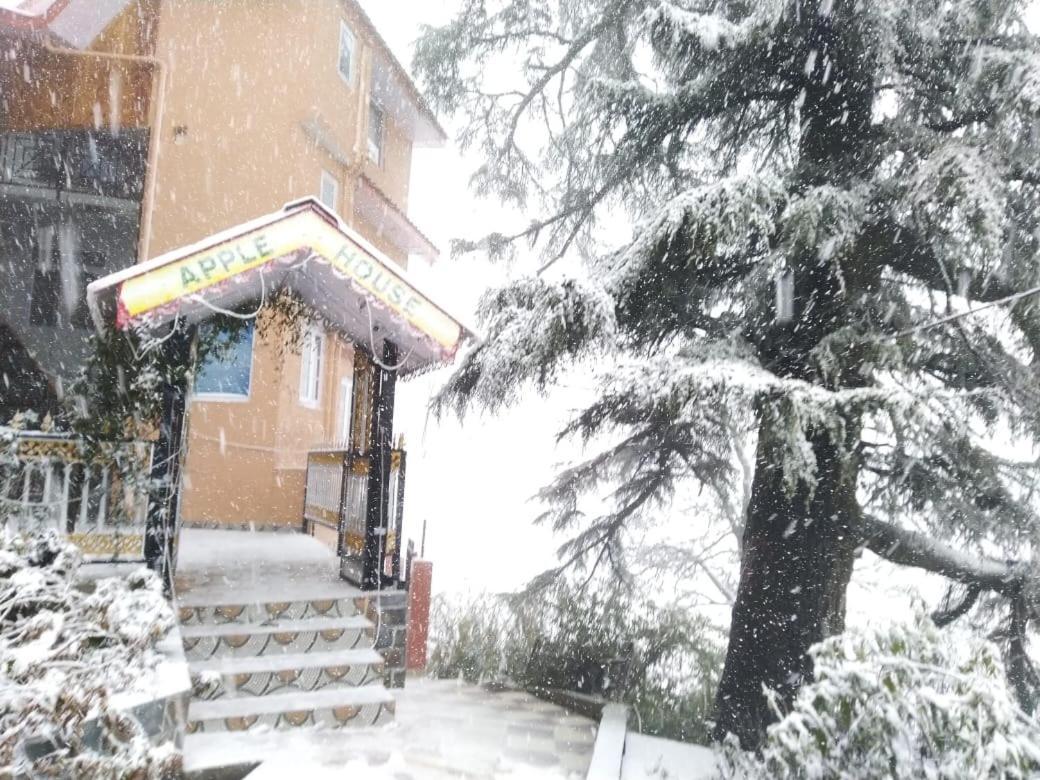 Apple House Shimla