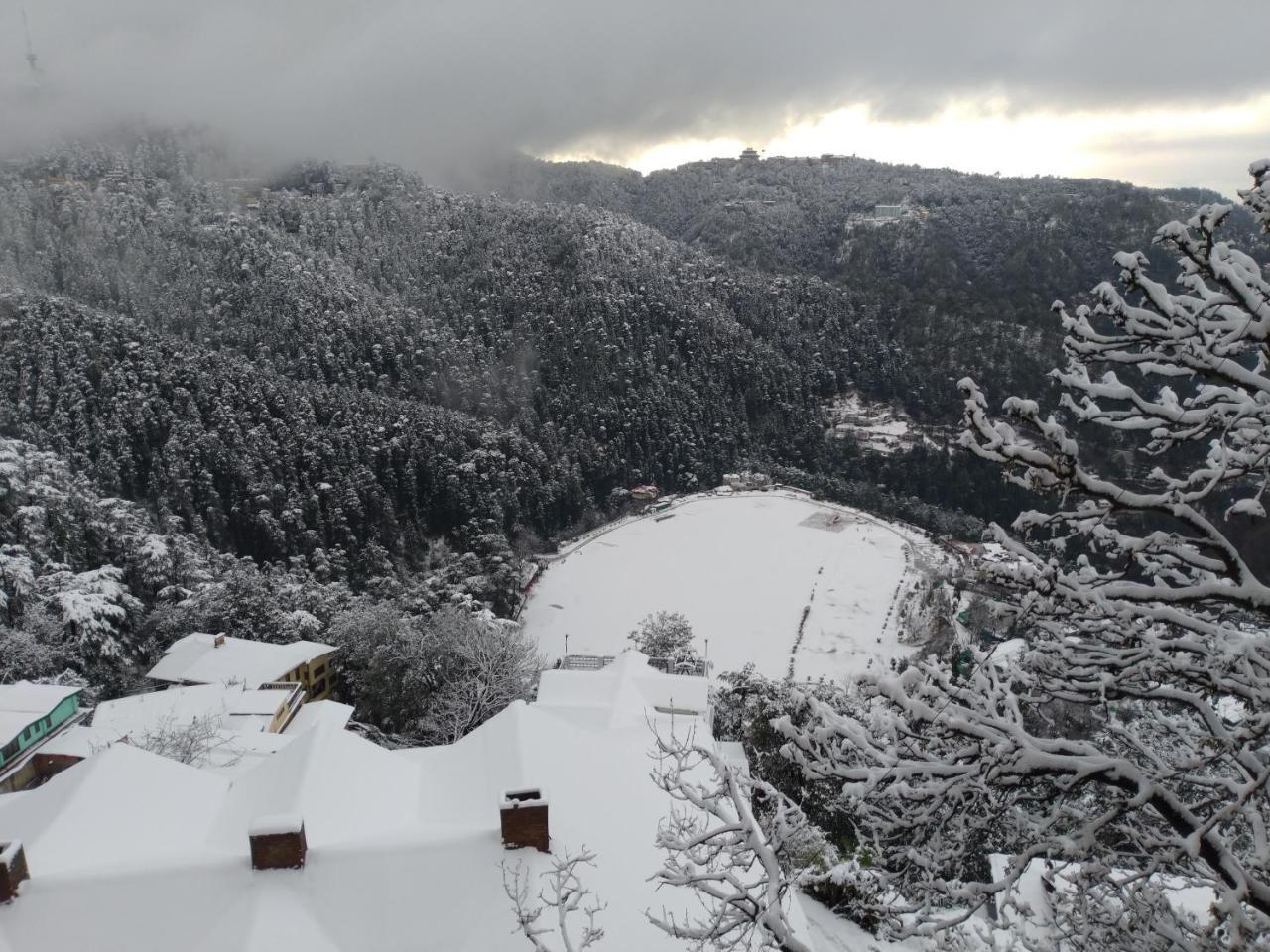 Apple House Shimla