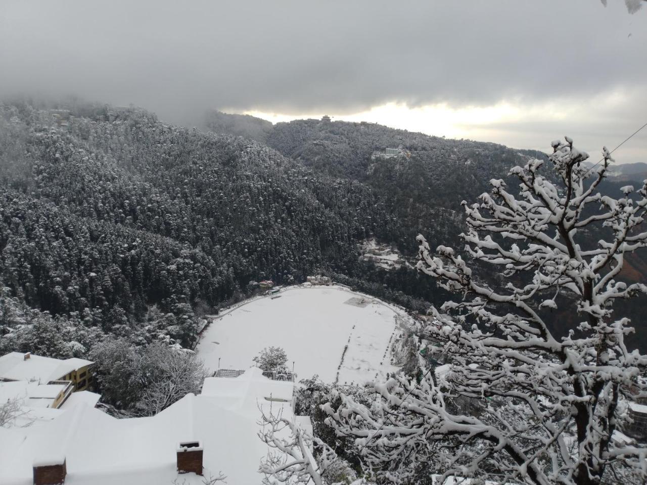 Apple House Shimla