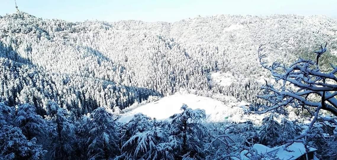 Apple House Bed & Breakfast Shimla