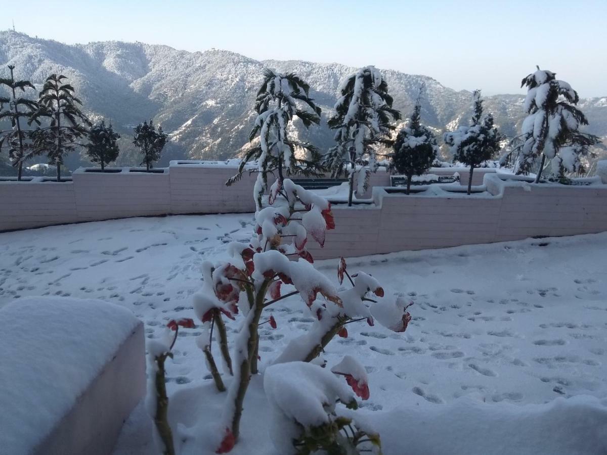 Resort Spangle Heights Shimla, And Residences