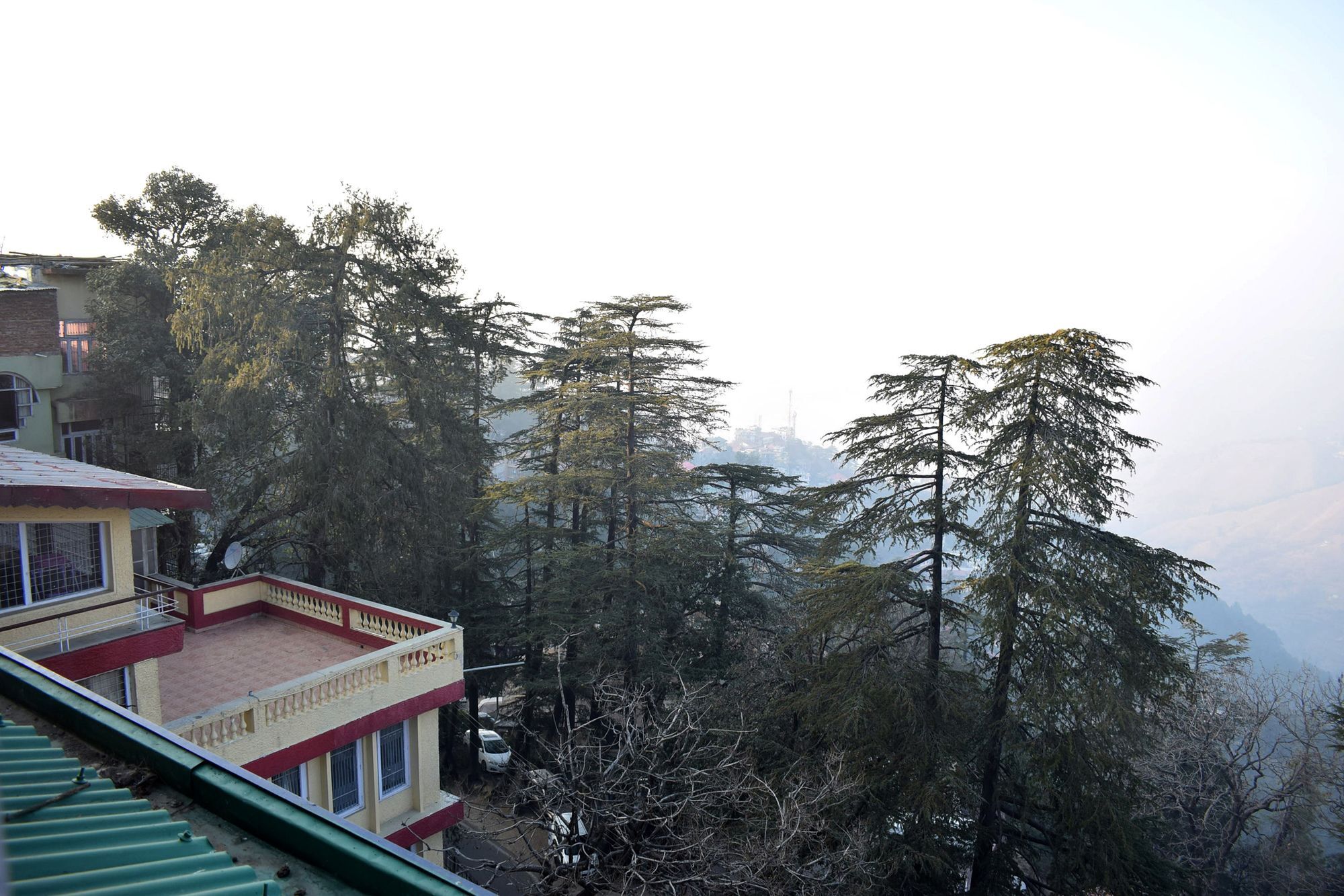 Super Collection O Mall Road Formerly Shubham Shimla