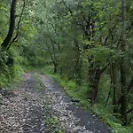 Aamod Resort