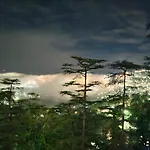 Magic Stays - Shimla Royale - Free Pickup From Railway Station Shimla
