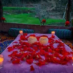 Livingstone Shimla Jungle Stay