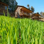 Livingstone Shimla Jungle Stay