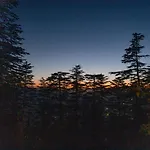Seclude Shimla, Taraview