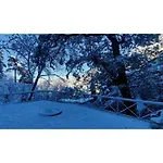 Crossroads Bed & Breakfast, Shimla