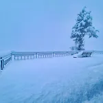 Saroga Woods Home Stay