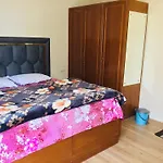 Shimla Vibes B & B Free Pick & Drop From Isbt Shimla