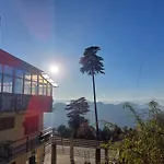Himalayan Cedar