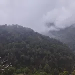 Sunshine Home Stay Alone Time With Nature