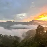 Best Nest Shimla