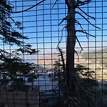 Yug Hotel B&B