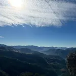 Pine Ville Shimla