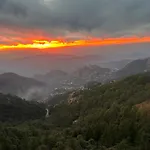 Pine Ville Shimla