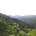 Manla Homes Resort