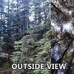 Tiny Homestay - Drive In - 2Km Ahead From Mall Road Lift Parking