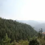 Pine Forest View 1Rk Home In Bharari