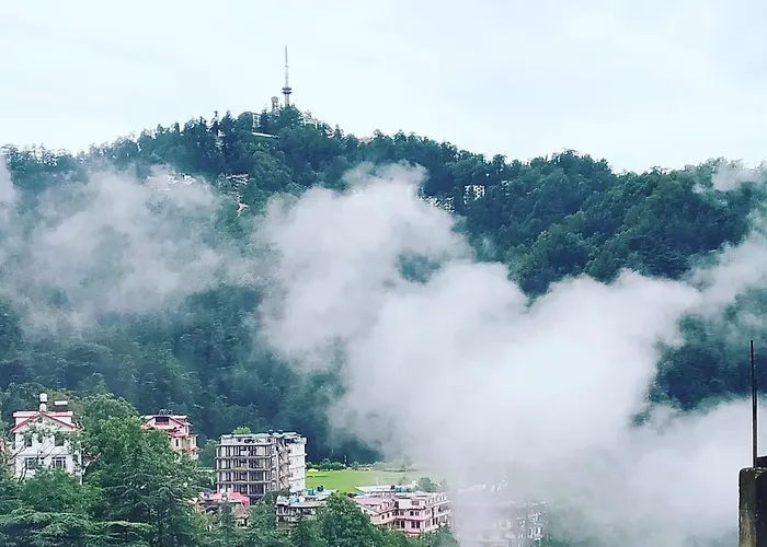 Shimla Pines Homestay