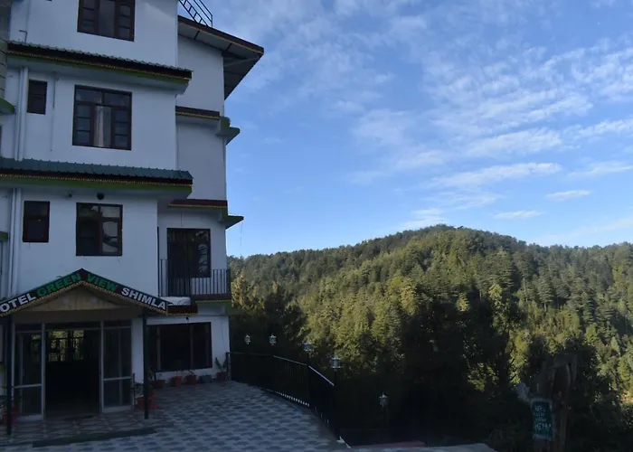 Hotel Green View Shimla