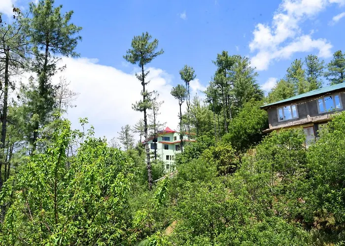 An Resort Mashobra II Forest-Mountain View Rooms