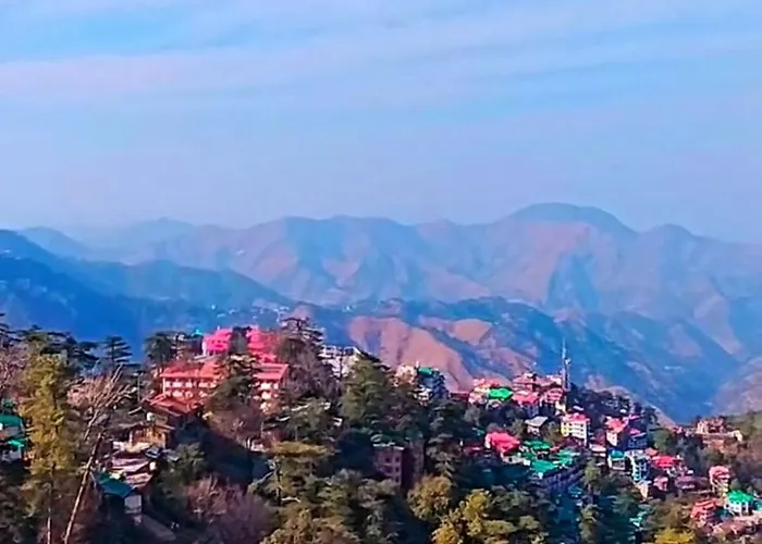 The Travelista Shimla