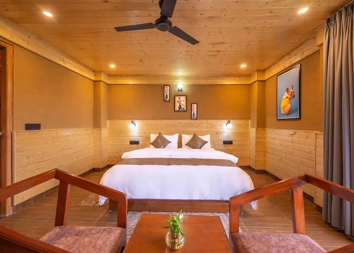 The Summer Retreat Kufri I Charvi Hotels I Party & Music I Sky Bonfire I By Exotic Stays