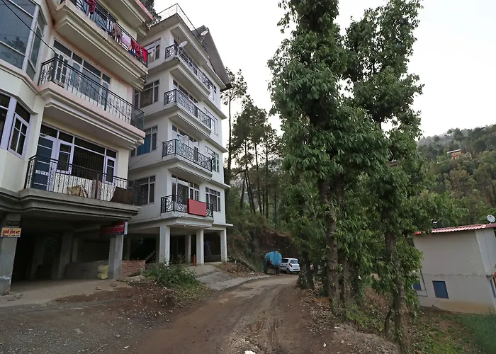 Oyo 13353 Home Friends Colony