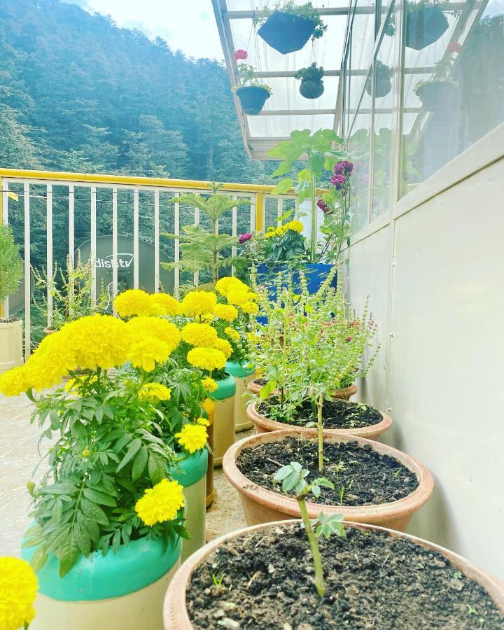 Kavya Homestay Homestay