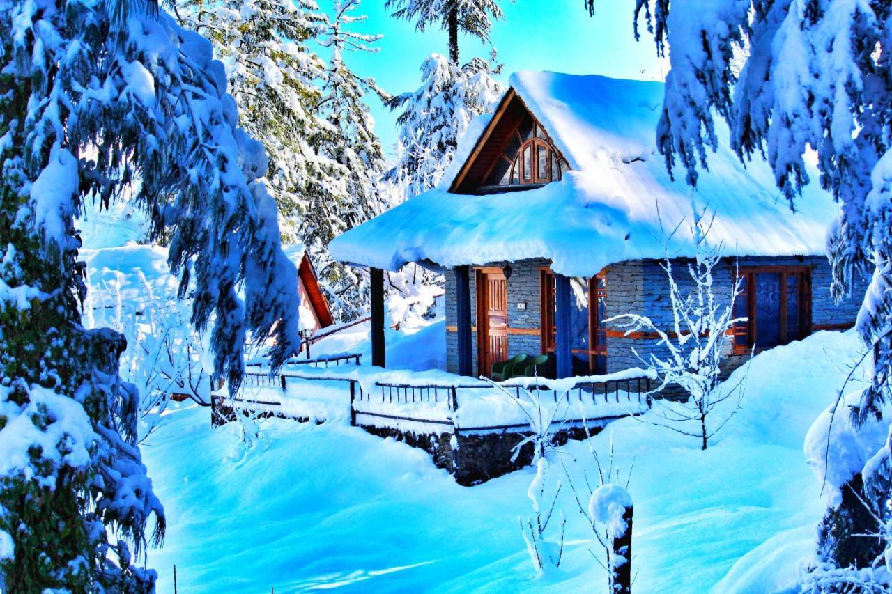 Woodvista * Shimla