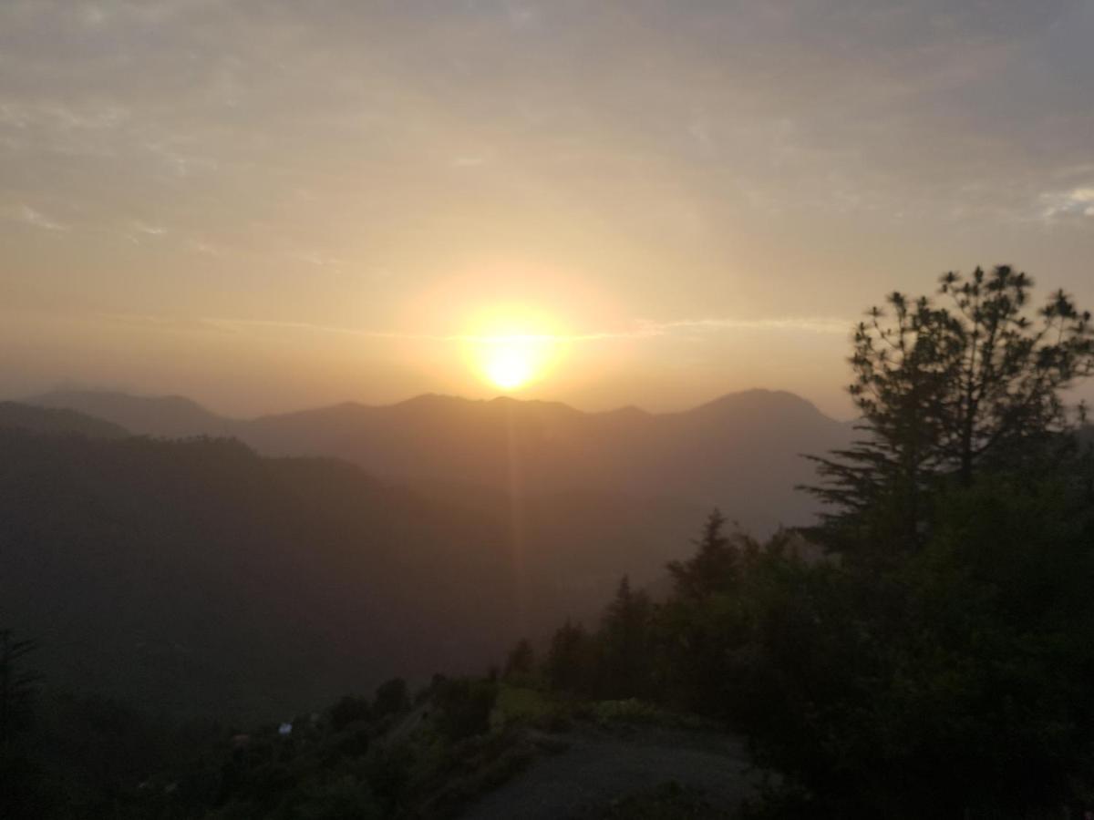 Hotel Home Inn Shimla B&B
