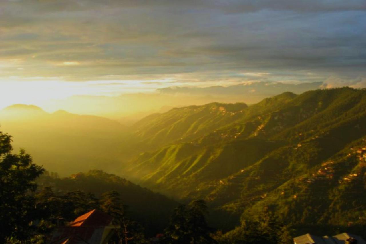 The Nishat-boho Shimla