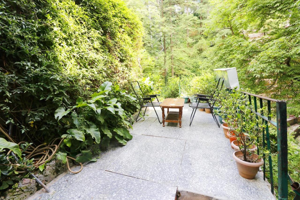 Oyo 45337 Woodland