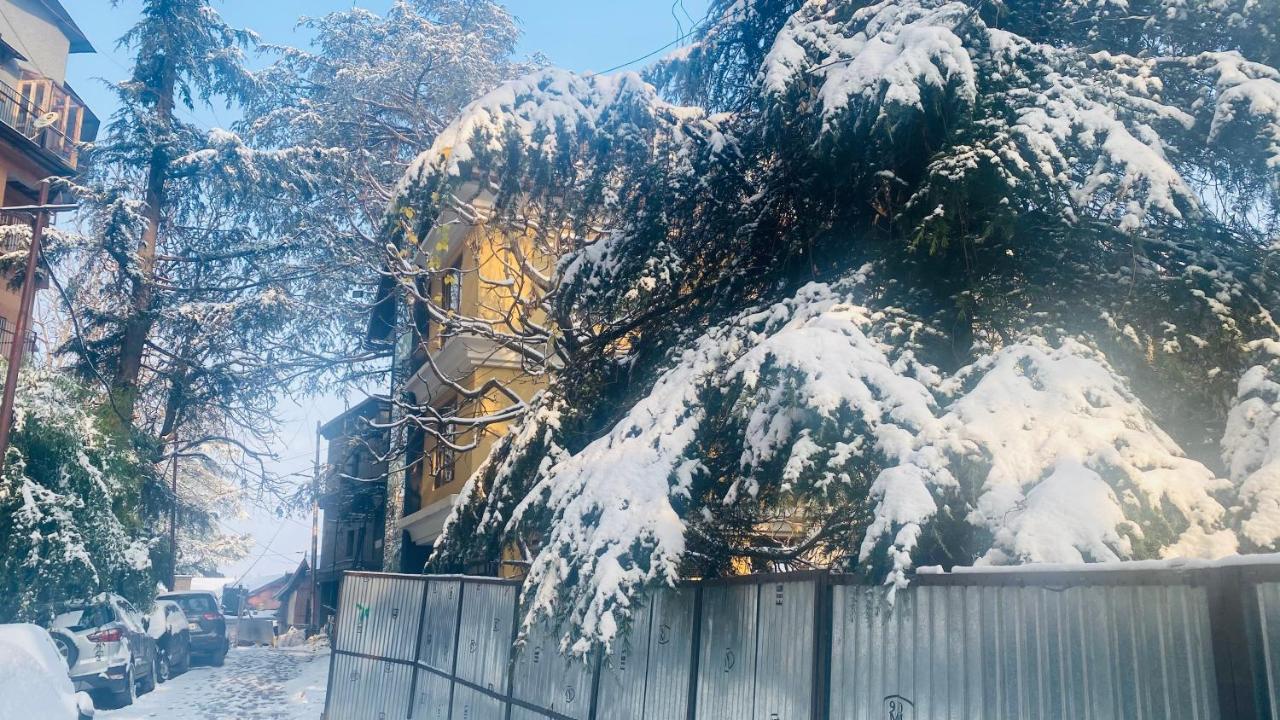 Mahaveer By Royal Collection Shimla