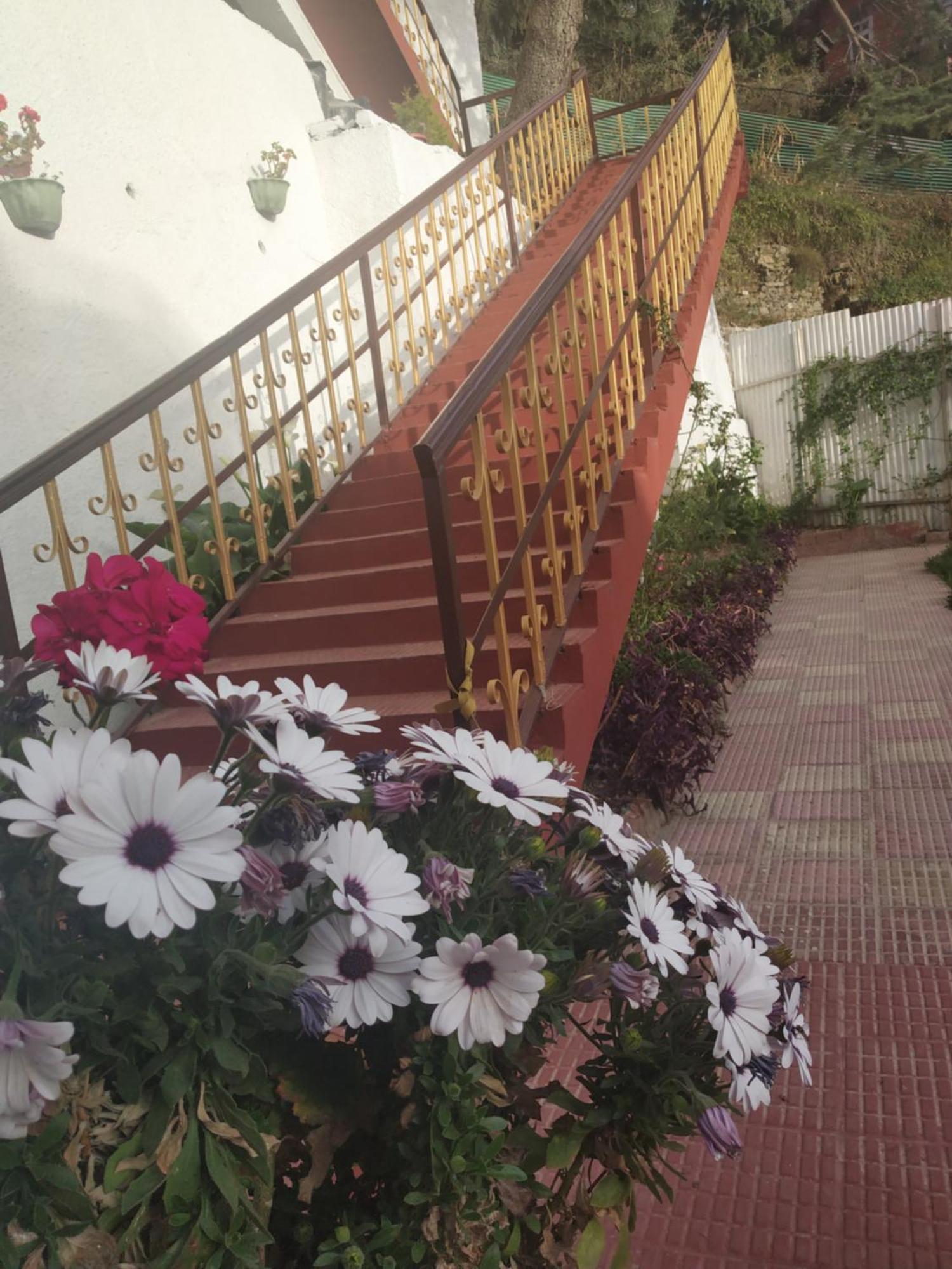 Garden * Shimla