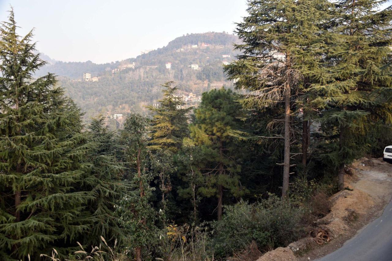 Hotel Whistling Alpines Shimla