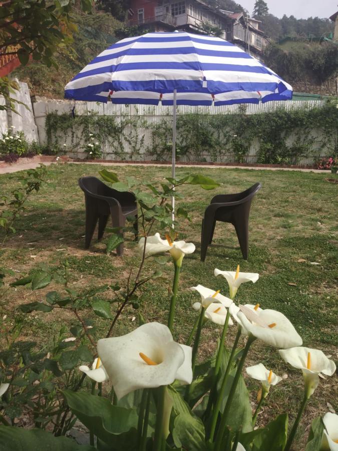 Garden *