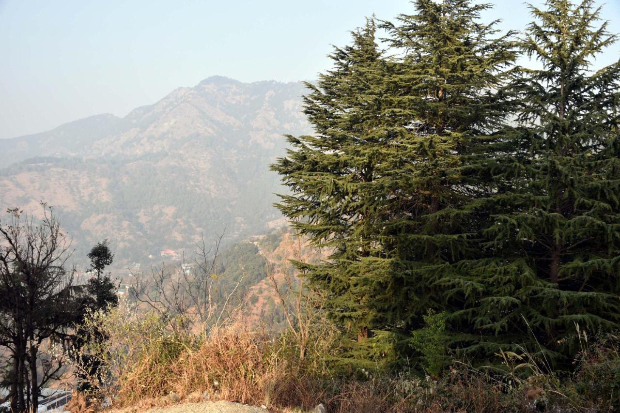 Whistling Alpines 3* Shimla