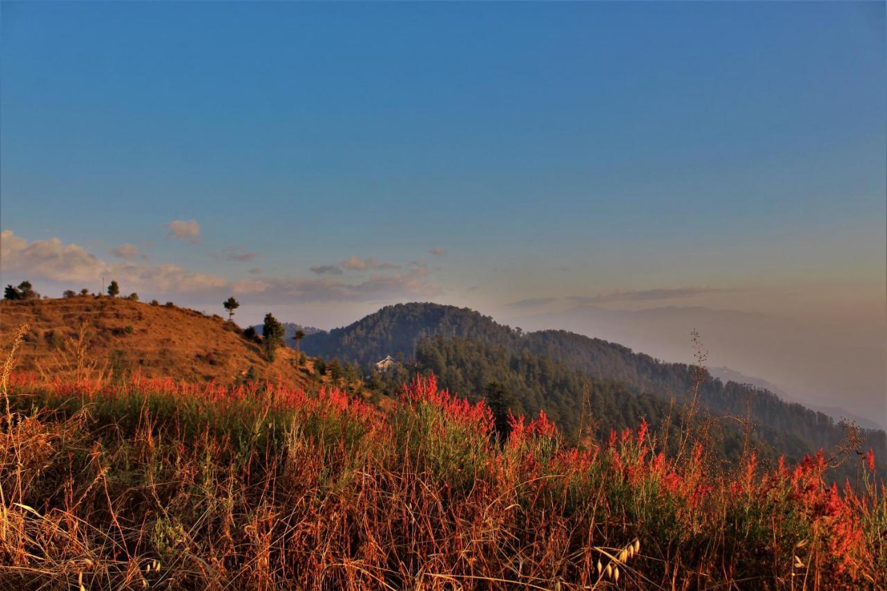 Mystic Homestay Homestay