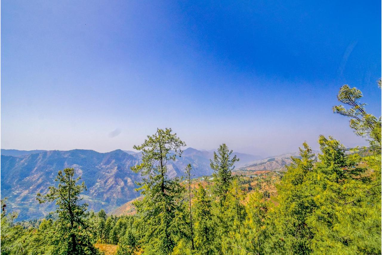 Fabhotel Bellevue Palace 3* Shimla