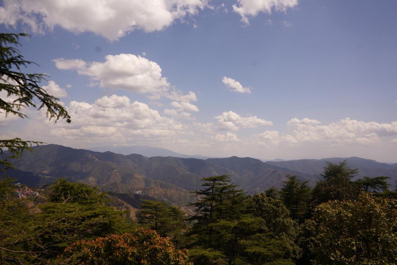 Jakhu Vibes Bed & Breakfast Shimla