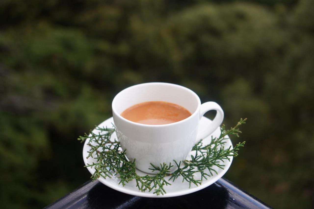 Jakhu Vibes Bed & Breakfast Shimla