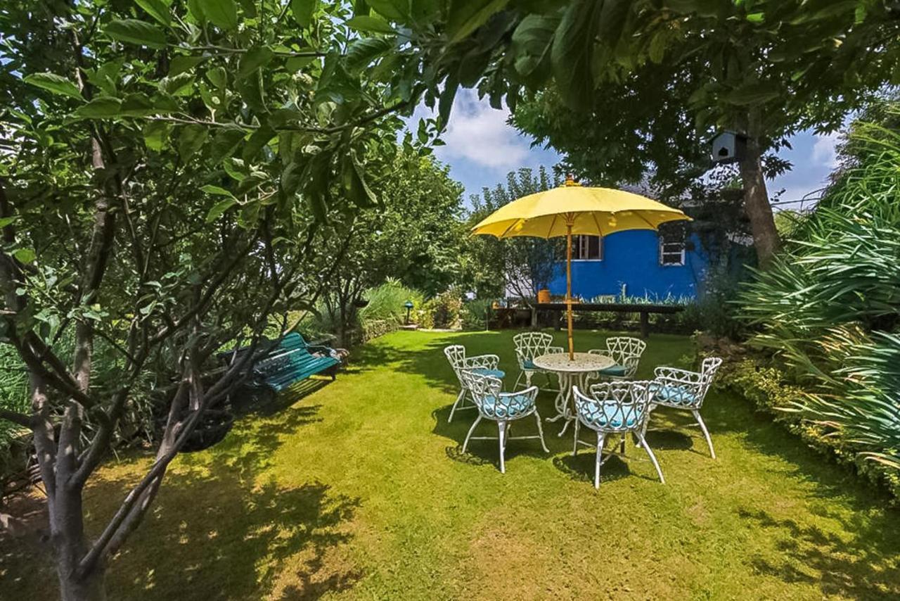 Stayvista At Violet Hill With Bonfire, Gazebo & Hill View Shimla