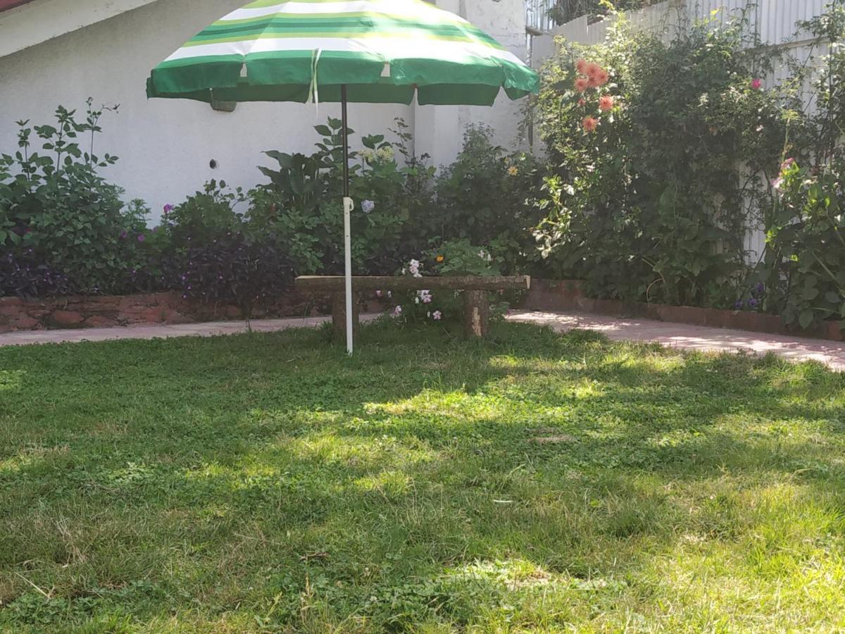 Bed & Breakfast Garden *