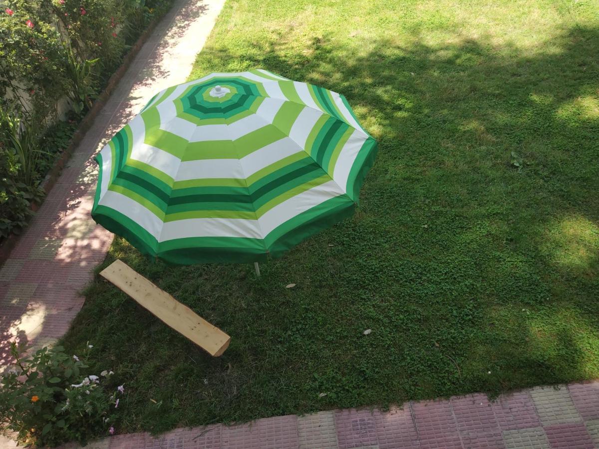 Garden * Shimla