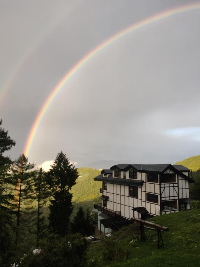 Sugar Cube Retreat Hostel *